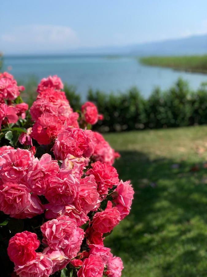 Guest House Tivko Katce Gostivar Exterior photo