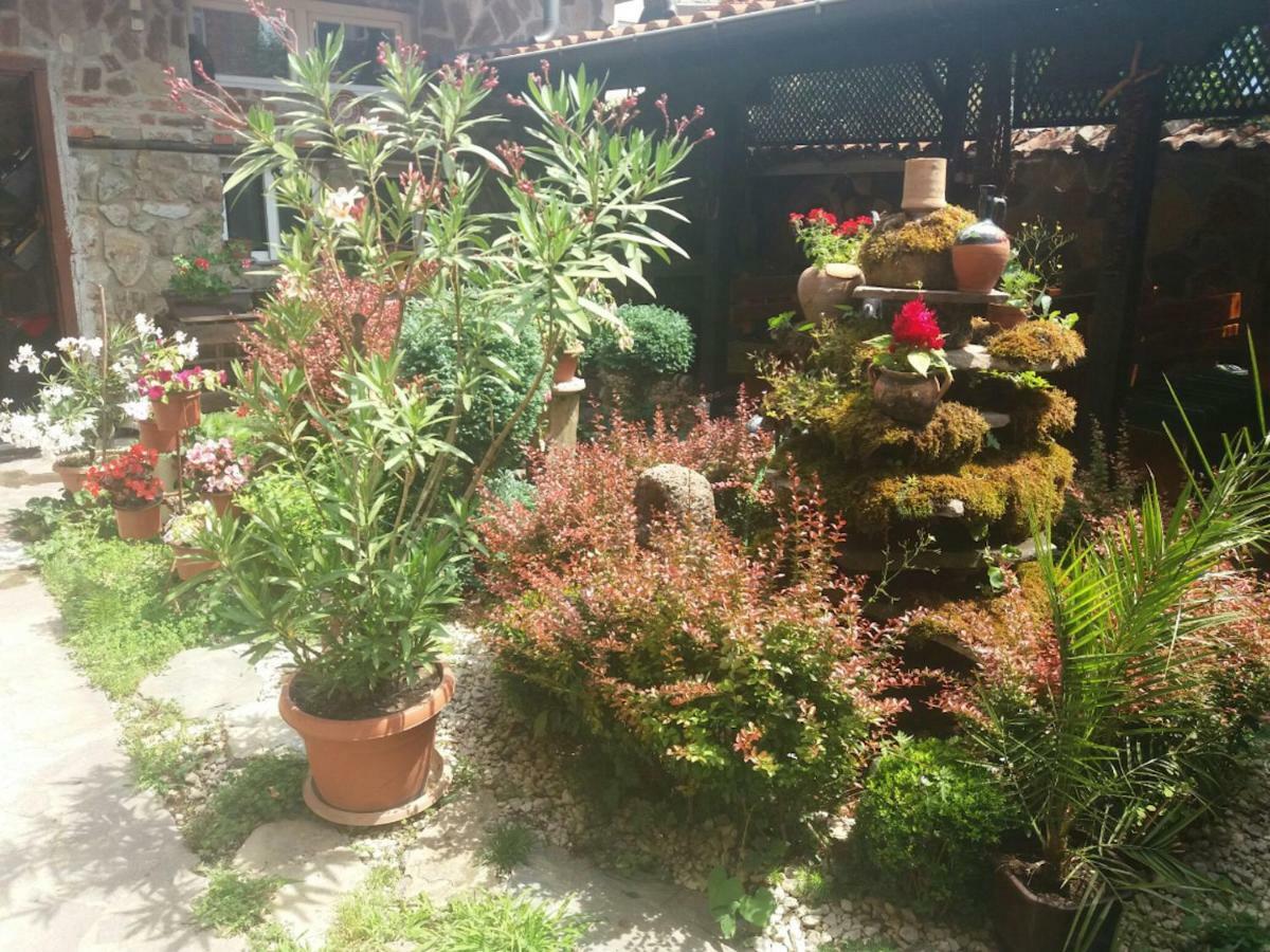 Guest House Tivko Katce Gostivar Exterior photo
